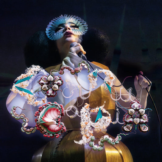 Björk - Cornucopia Live