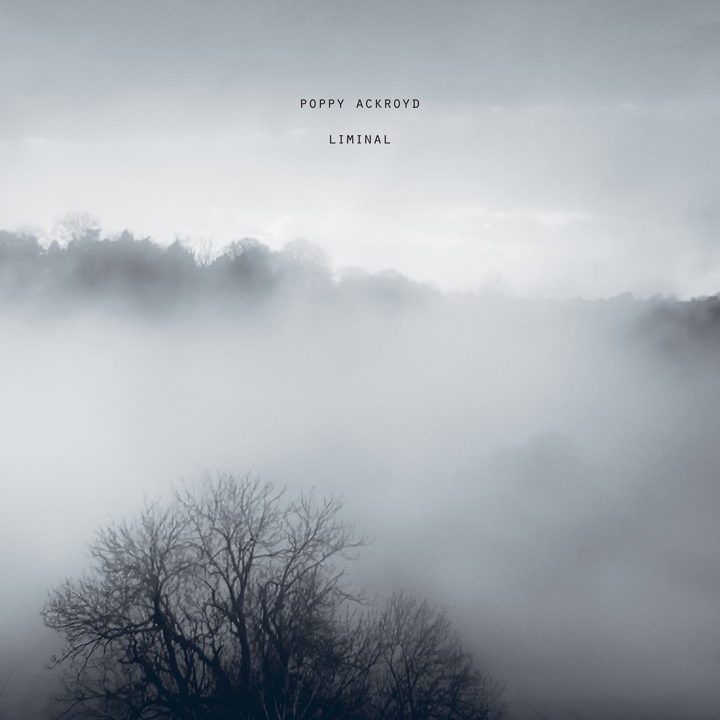 Poppy Ackroyd - Liminal