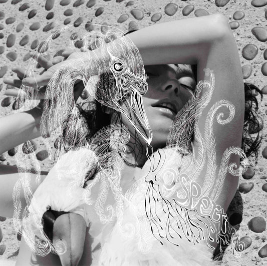 Björk ‎- Vespertine